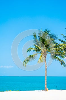 Beautiful tropical nature of beach sea ocean bay around coconut palm tree