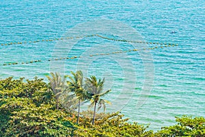 Beautiful tropical nature of beach sea ocean bay around coconut palm tree