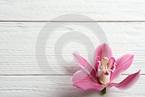 Beautiful tropical orchid flower on white wooden background