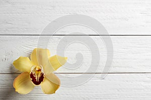 Beautiful tropical orchid flower on white wooden background, top view.