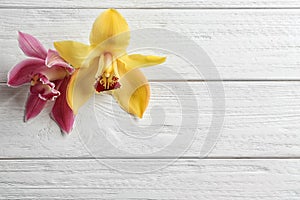 Beautiful tropical orchid flowers on white wooden background