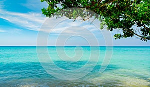 Beautiful tropical paradise beach background. Summer vibes. Summer vacation time background. Ocean waves. Calm, tranquil and relax