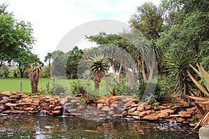Beautiful tropical park with small pond and exotic plants