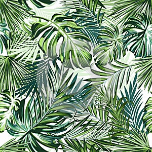 Beautiful tropical pattern with green palm leaves for design ideal for fabric design photo
