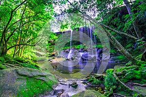 Beautiful tropical rainforest waterfall in deep forest, Phu Kradueng National Park