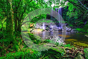 Beautiful tropical rainforest waterfall in deep forest, Phu Kradueng National Park