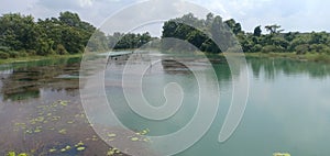 beautiful tropical river