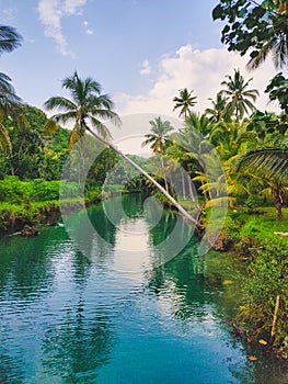 Beautiful tropical River landscape