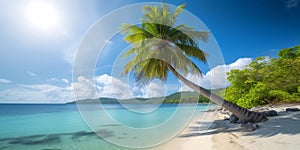 Beautiful tropical sandy beach landscape with palm tree