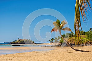 Beautiful tropical sandy beach, seascape with palm trees