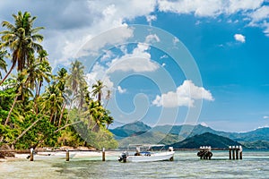 Beautiful tropical scenery beach with palm trees, jetty pier, tourist boat and white clouds above. Holiday and paradise island