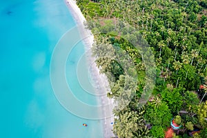 Beautiful tropical sea beach with palm tree forest in summer