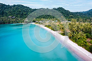 Beautiful tropical sea beach with palm tree forest in summer