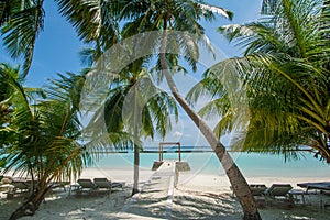 Beautiful tropical sunny beach landscape view with palm trees and ocean at the island at resort