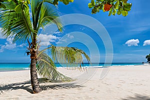 Beautiful tropical sunny beach in Paradise island