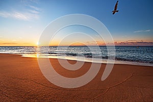 Beautiful tropical sunrise on the beach. Blue sky