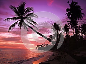 Beautiful tropical sunset