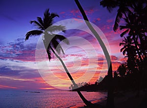 Beautiful tropical sunset