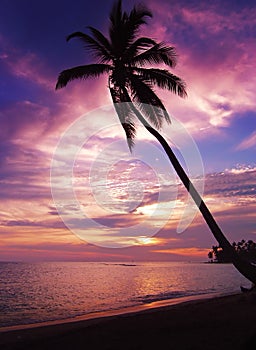 Beautiful tropical sunset