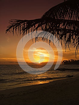 Beautiful tropical sunset