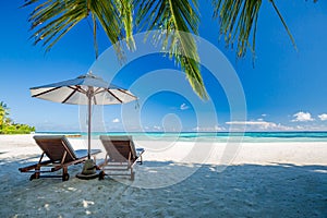 Beautiful tropical sunset scenery, two sun beds, loungers, umbrella under palm tree. White sand, sea view with horizon