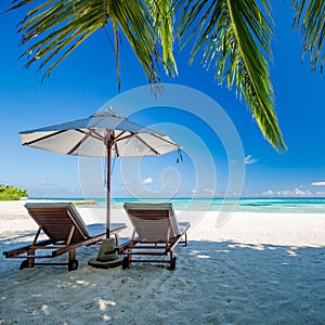 Beautiful tropical sunset scenery, two sun beds, loungers, umbrella under palm tree. White sand, sea view with horizon