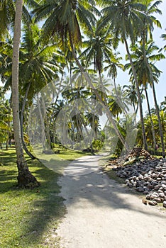 Beautiful tropical vacation in the warm sunny Seychelle island oceanas