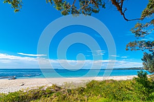 Beautiful tropical white sand beach in blue lagoon and blue sky space. Australia, Hyams Beach, NSW