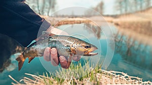 Beautiful trout in angler& x27;s hand. Fishing