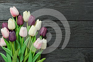 Beautiful Tulip flowers on a dark, black wooden background. Spring bouquet. Flat lay, top view, copy space.