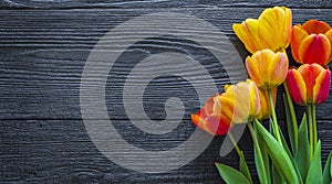 Beautiful Tulip flowers on a dark, black wooden background. Spring bouquet. Flat lay, top view, copy space.