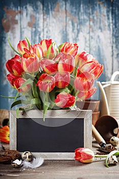 Beautiful tulips bouquet, easter eggs and garden tools on woode