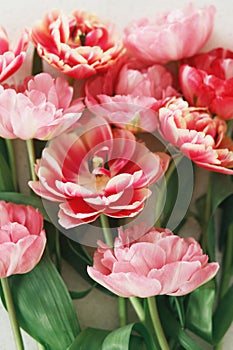 Beautiful tulips flat lay on grey stone background. Stylish floral bouquet. Happy Valentines day and happy mother\'s day.