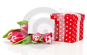 beautiful tulips with red polka-dot gift box. happy mothers day, romantic still life, fresh flowers