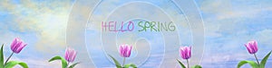 Beautiful tulips on the sunny cloudy sky. Spring background. Happy spring banner. Floral background.