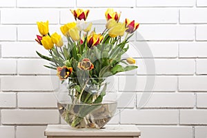 Beautiful tulips in a transparent vase