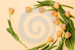 Beautiful tulips a yellow paper background