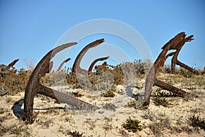 Tuna and anchors museum in Praia do Barril beach in the Ria Formosa natural park in Luz de Tavira photo