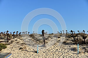 Tuna and anchors museum in Praia do Barril beach in the Ria Formosa natural park in Luz de Tavira photo