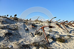 Tuna and anchors museum in Praia do Barril beach in the Ria Formosa natural park in Luz de Tavira photo