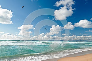 Beautiful turquoise colored ocean, cloudy sky, and flock of flying birds