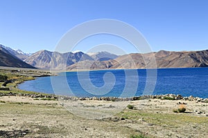 Beautiful turquoise Pangong Lake in Leh, India