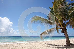 Beautiful turquoise sea & golden sand on the beach, Falmouth, Jamacia