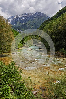 The beautiful turquoise Soca river in the green forest, Bovec, Slovenia, Europe.