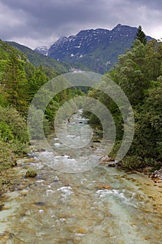 The beautiful turquoise Soca river in the green forest, Bovec, Slovenia, Europe.