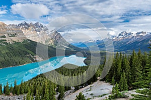 Beautiful turquoise waters of the Peyto lake in Banff National Park