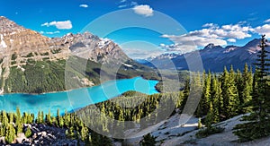 Beautiful turquoise waters of the Peyto Lake in Banff National Park, Canada