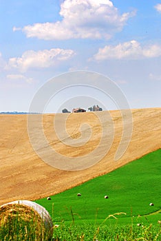 Beautiful Tuscany fields