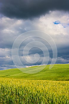 Beautiful Tuscany landscape