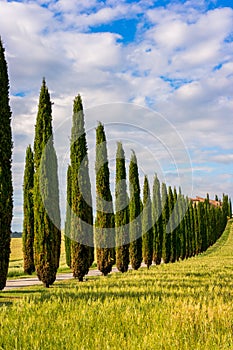 Beautiful Tuscany landscape